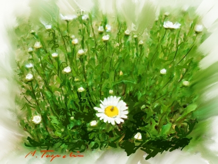 ��i29�D�̂���